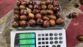 nuovo raccolto di castagne fresche