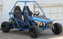 go kart car prices cheap,dune buggies for sale