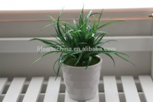 grass artificial, mini plant, ceramic pot #8, plastic grass, grass bonsai
