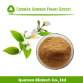 Heiße Verkäufe Camellia SINENSIS Flower Extract Pulver 10: 1