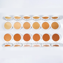 Waterproof Sweat-proof Concealer Cream - Private Label High Definition Full Coverage Cream Foundation