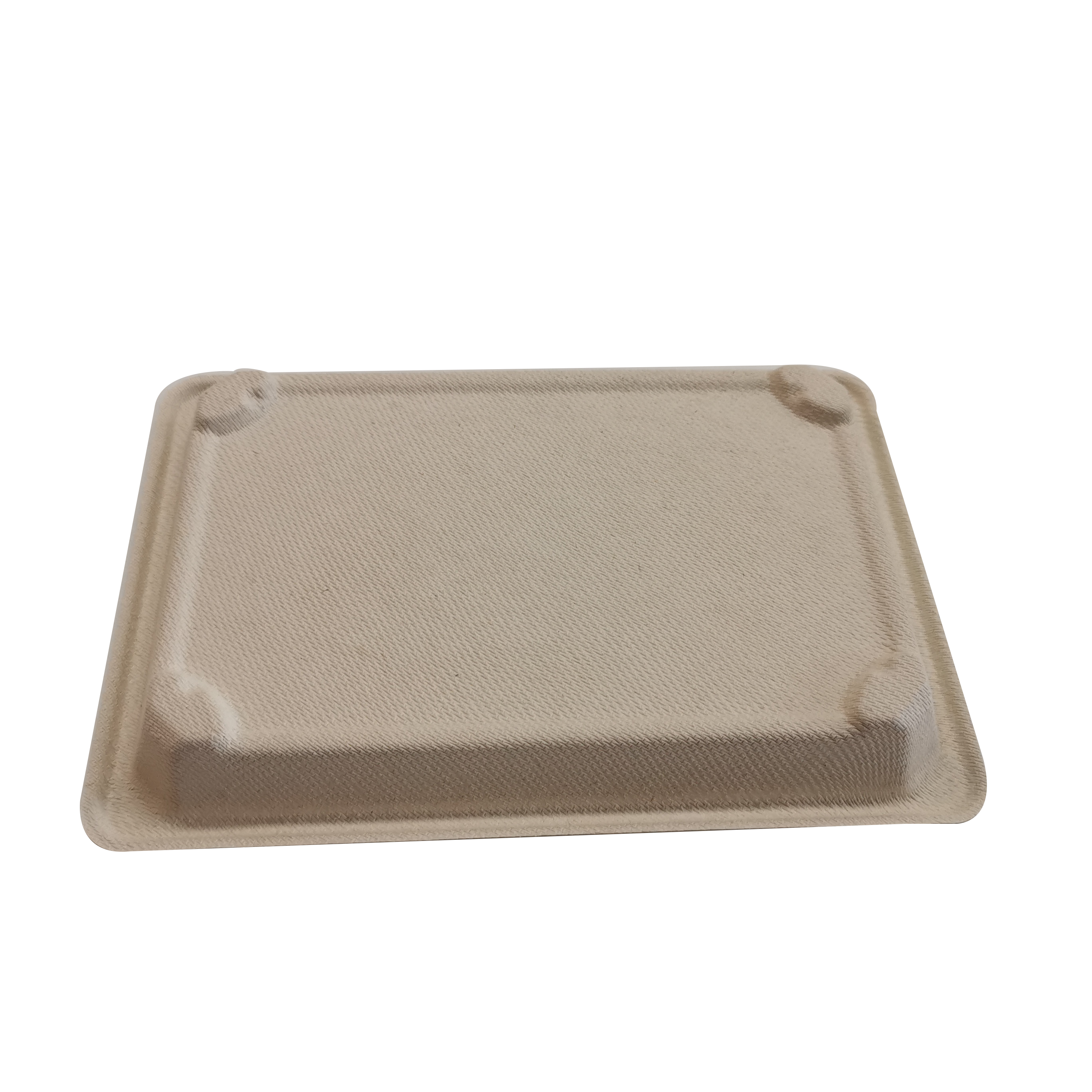 bagasse sushi tray bagasse sushi tray
