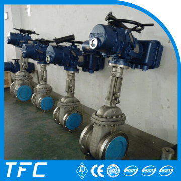 API 6D rising stem motor operated gate valve