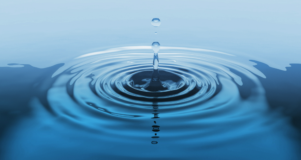 Seguridad en el agua Water Safety