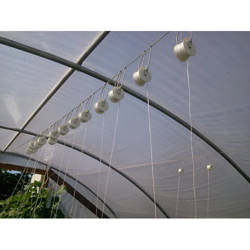 Roller Tomato Pemegang Hot Galvanized dengan Twine