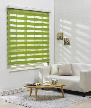 Green horizontal zebra blinds