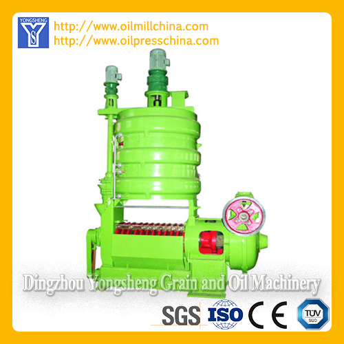 Vegetable Oil Expeller