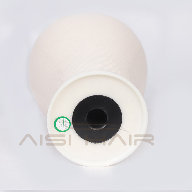 Aisi Hair Professional Poly Canvas Block Mannequin Head for Wig Making Displaying Drying Free Gifts