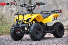 2016 new 49cc 50cc two stroke Mini ATV Quad with Electric starter