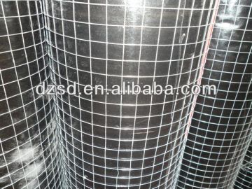 Cheap galvanized welded wire mesh with good quality