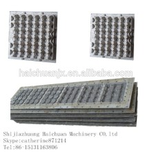 Hebei customers aluminum egg tray mould