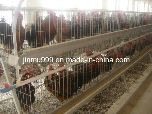 Quality Poultry Farming Equipment (JF-AF-2c11)