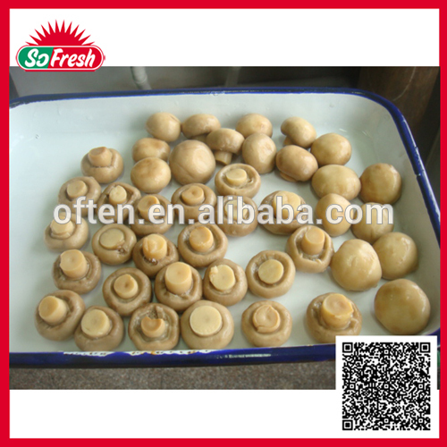 chinese canned mushroom brands mushroom canned button mushroom