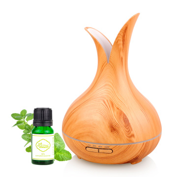 Hot Sale Best Ultrasonic Essential Oil Diffuser 2019