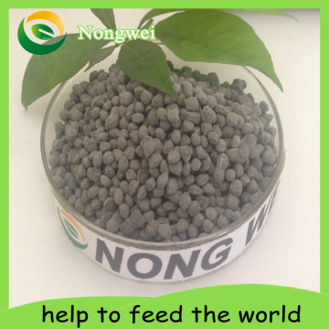 Bio Organic Fertilizer