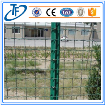 Svetsat Holland Wire Mesh / Wire Mesh Netting