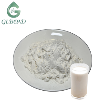 Lactase Powder for Digestive Health Supplement Formulations
