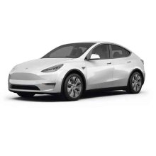 Top Selling Chinese-made New Energy Cars: Model 3, Model Y, and Adult Electric Cars