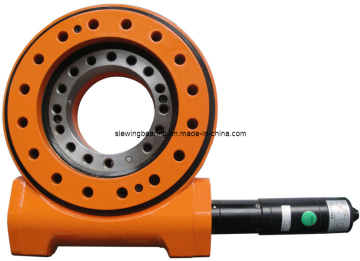 Slewing Drive, Worm Drives