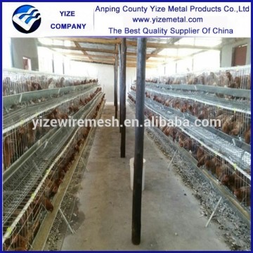 chicken breeding cage/plastic chicken transport cage/uganda poultry farm automatic chicken layer cage