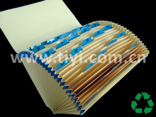 Expandable Files/File Folders