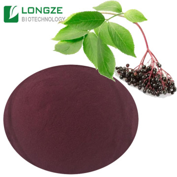 High quality Black elderberry extract powder
