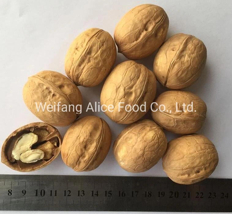 Wholesale Healthy Snack Export Chinese Walnut Paperture Shell Walnut