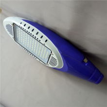 Outdoor LED Torch Type Golden Bean Street Lamp