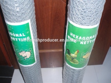 chicken coop hexagonal wire mesh