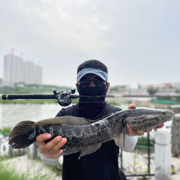 7'6'' Fast Action Bass Fishing Rod - 1 Piece