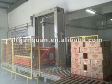 case palletizer