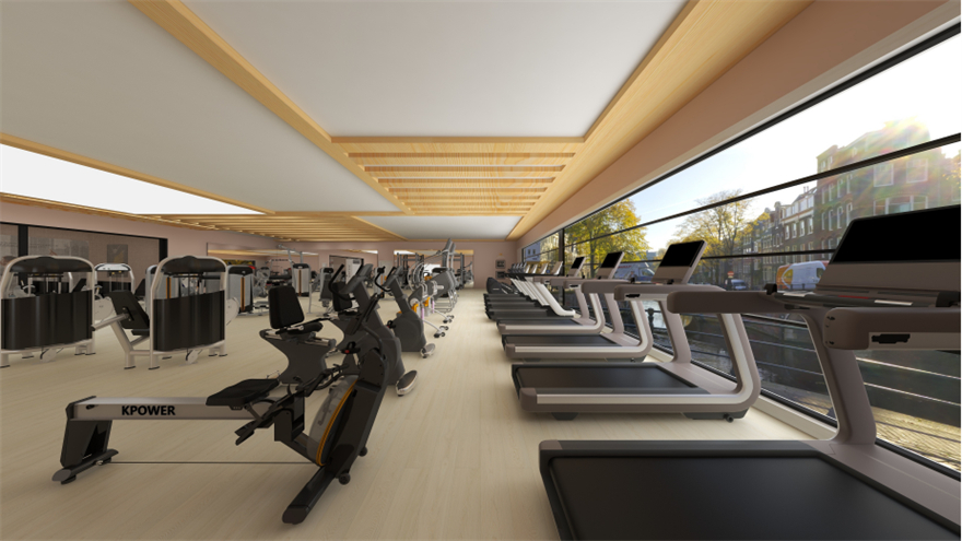 Gym Equipment for Commercial Use (3)