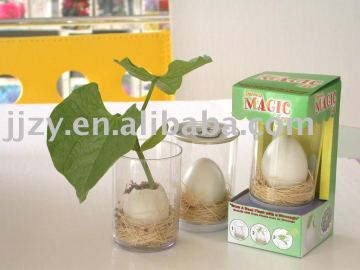 Magic  Eggs in Transparent Plastic Cans