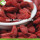 Wholesale Premium Nutrition Eu Standard Goji Berry