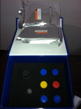 Cat Testosterone,T ELISA Kit