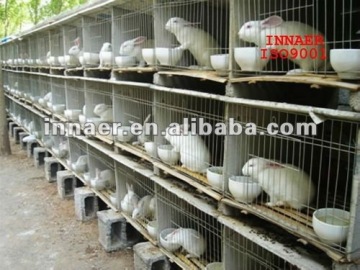 rabbit cages for sale