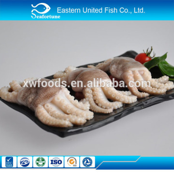 wild frozen baby octopus in flower