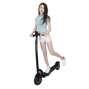 Shenzhen E Scooter with 350W Motor