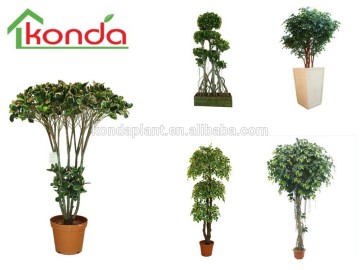 Artificial Fake ficus microcarpa,make artificial bonsai tree,plastic bonsai tree