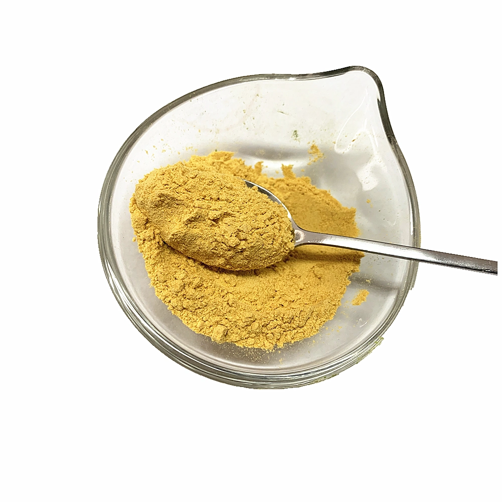 Top Quality 100% Natural Pumpkin Powder for Free Sample