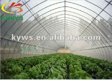 Singel span vegetable greenhouse