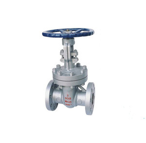 ANSI Cast Steel Gate Valve