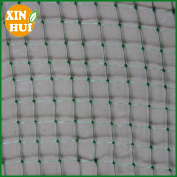 anti-bird net/mist bird net/ anti bird netting