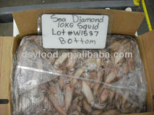Sea diamond California Squid Bottom