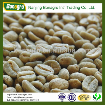 green bulk arabica coffee bean