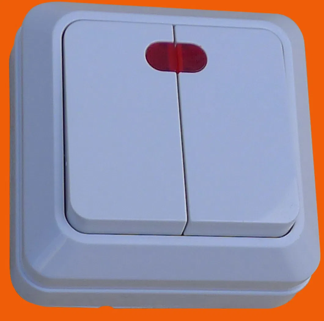 Поставка настенных выключателей европейского типа с двумя разомкнутыми одинарными органами управления.