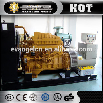 diesel Generator Set electric generator specifications