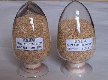 High Quality Choline Chloride 50% Silica