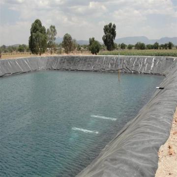 HDPE Geomembrane for Artificial Fish Pond