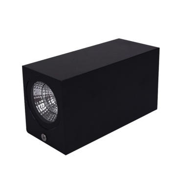 Modern Design Outdoor LED Wall Light